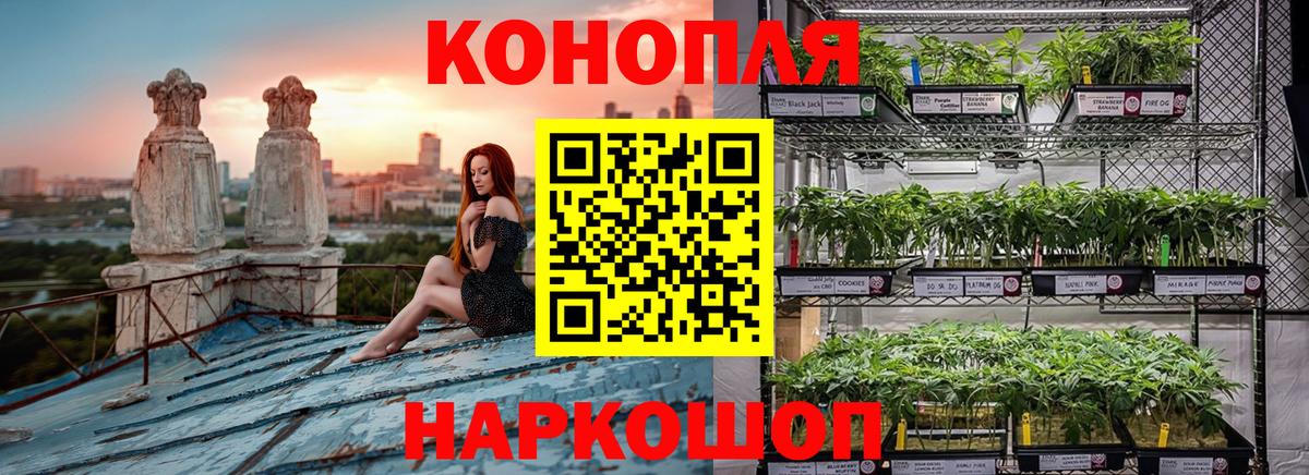 Бошки Шишки White Widow Сатка